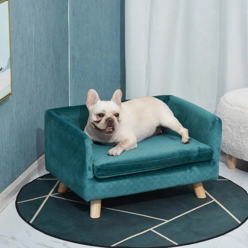 Teal velvet dog sofa with French bulldog