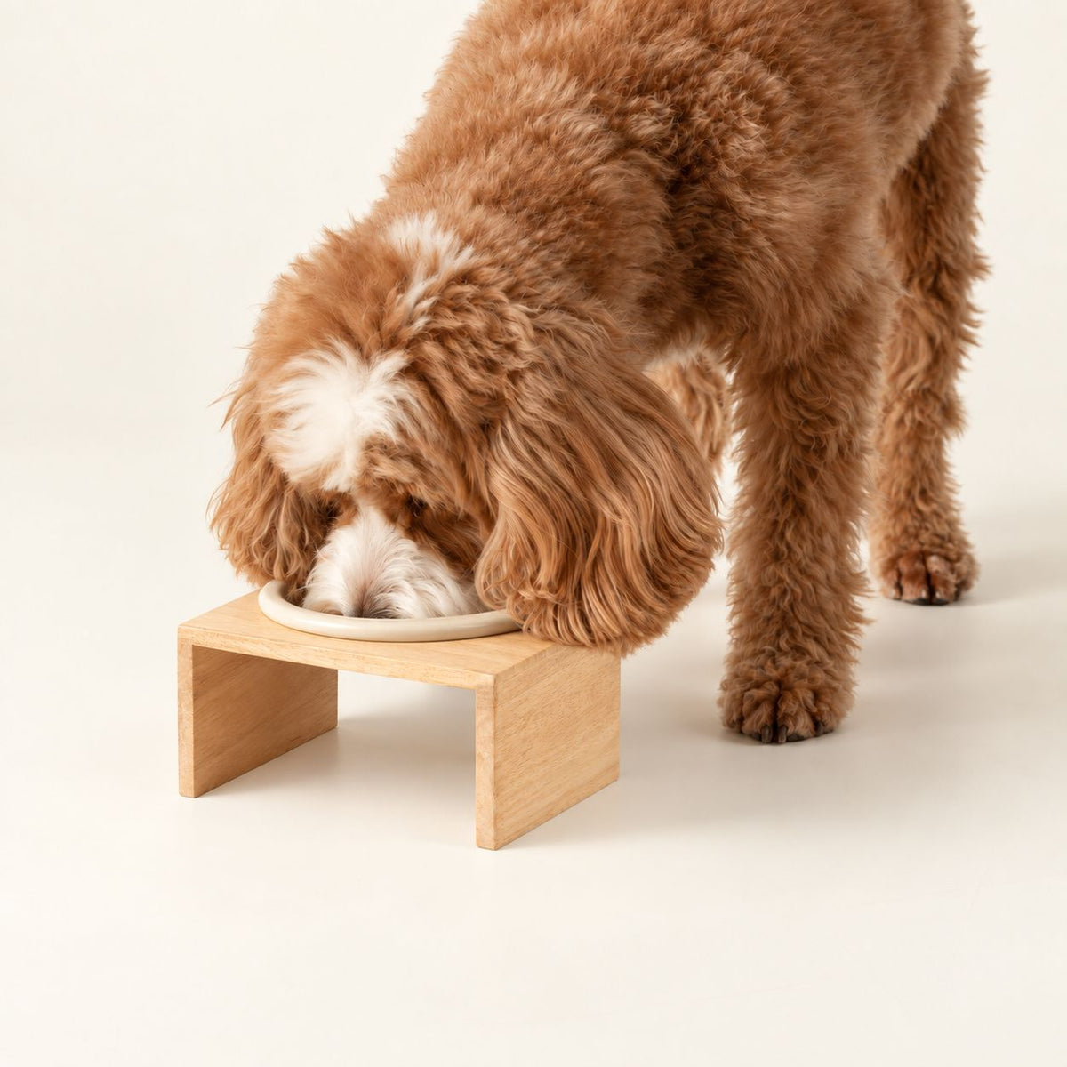 Ceramic Dog Bowl in Wooden Stand | 14 cm