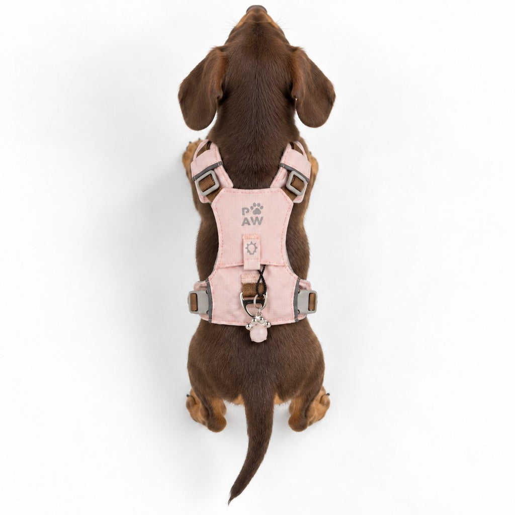 Gemstone Step-in Harness | Soft Pink · Rose Quartz · Size XS
