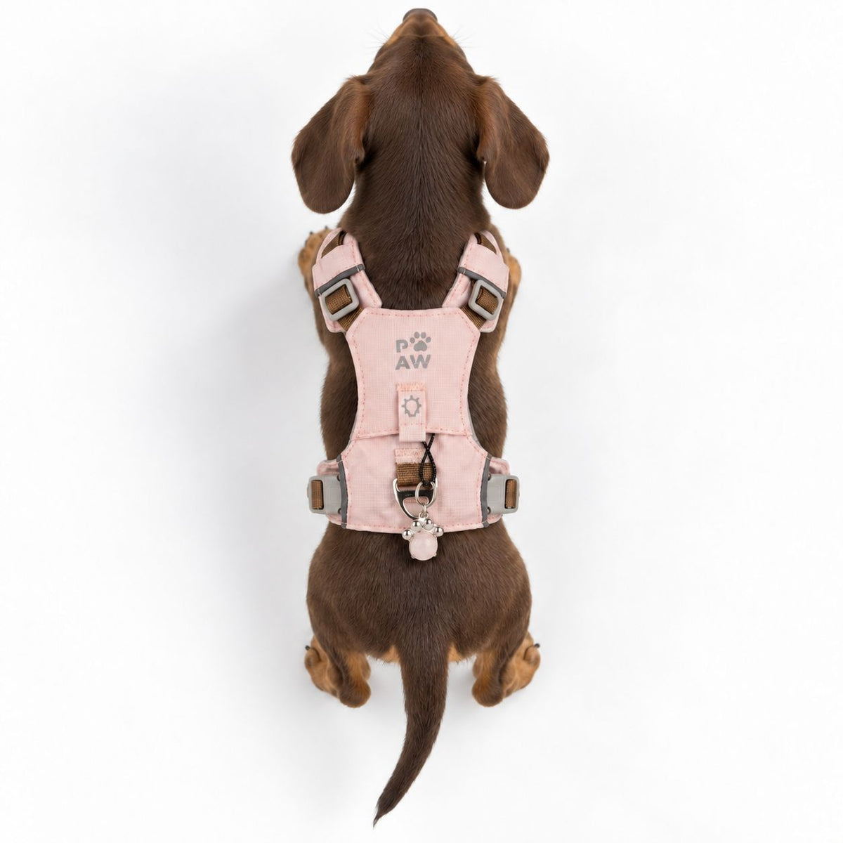 Gemstone Step-in Harness | Soft Pink · Rose Quartz · Size XS