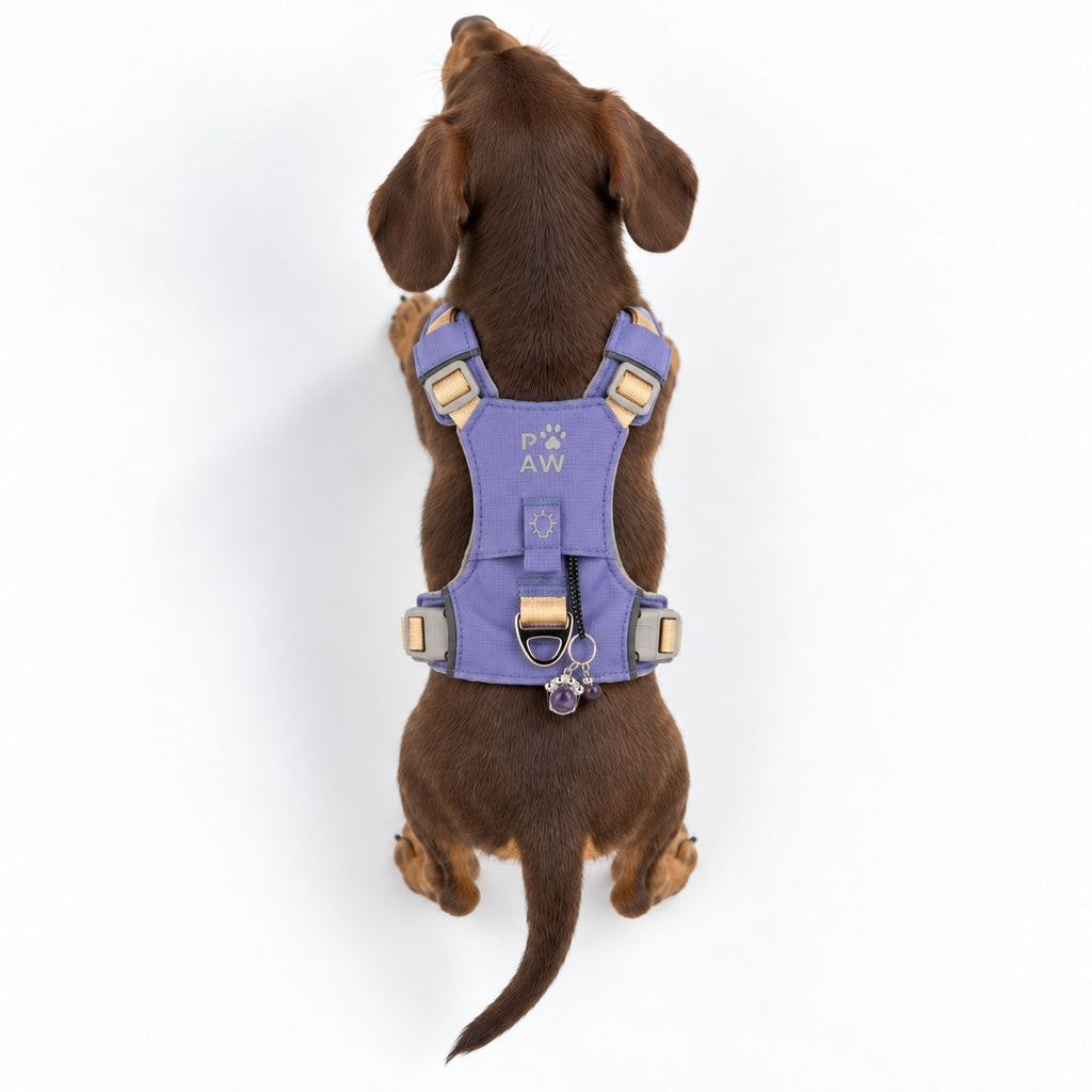Gemstone Step-in Harness | Lavender · Amethyst · Size XS