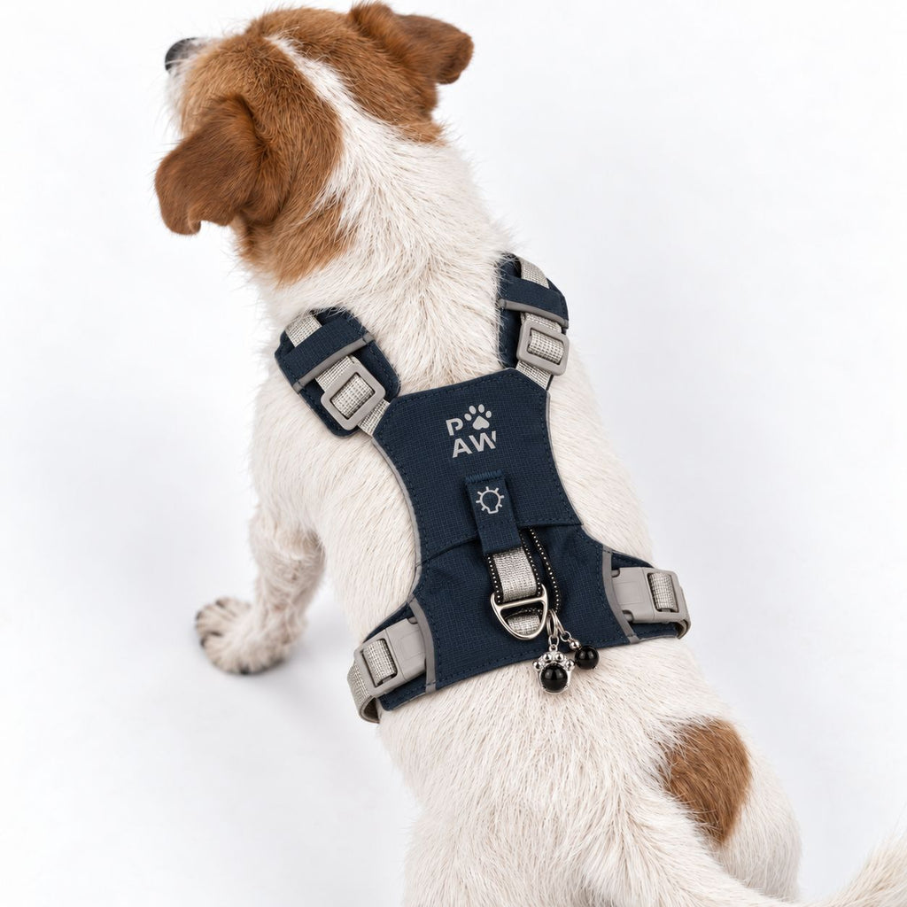 Gemstone Step-in Harness | Rock Grey · Black Obsidian · Size S