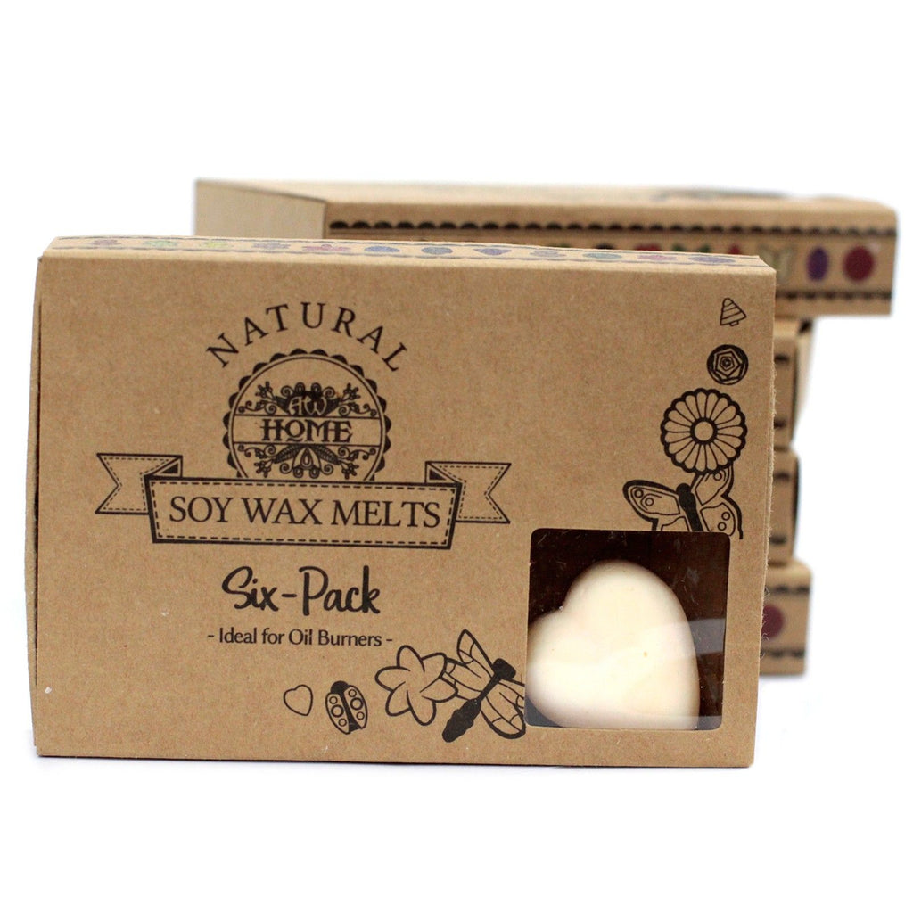 Wax Melts Gift Set | Cinnamon & Orange · 6 pieces